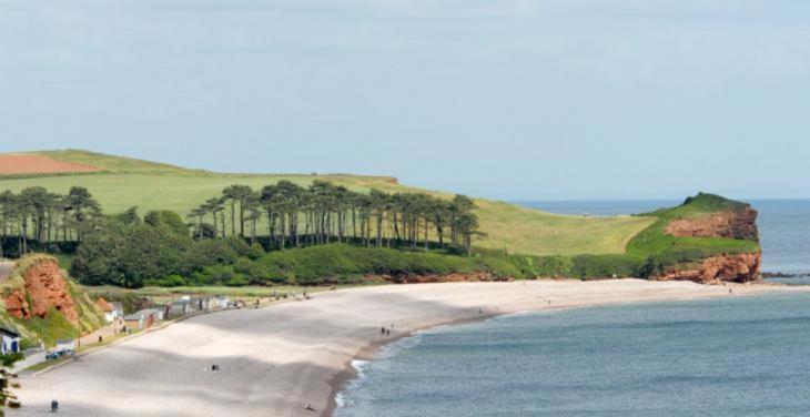 The Lawns B & B Budleigh Salterton Luaran gambar