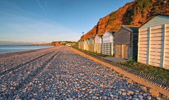 The Lawns B & B Budleigh Salterton Luaran gambar